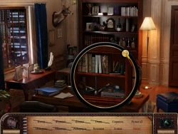 Скриншот к игре Mind's Eye: Secrets of the Forgotten