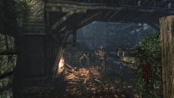 Скриншот к игре Hunted: The Demon's Forge
