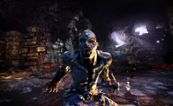 Скриншот к игре Hunted: The Demon's Forge