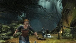 Скриншот к игре The Lord of the Rings: War in the North