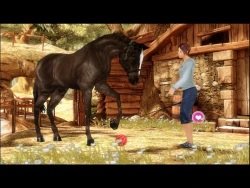 Petz Horsez 2 Screenshots