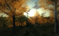 3D Hunting 2010 Screenshots