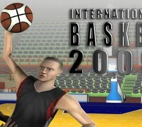 International Basket 2009 Lite