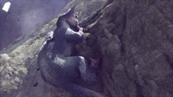 The Last Guardian Screenshots