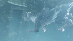 The Last Guardian Screenshots