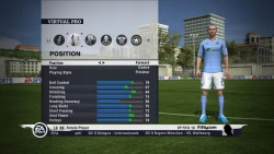 FIFA 11 Screenshots