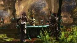 Скриншот к игре Kingdoms of Amalur: Reckoning