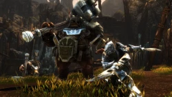 Скриншот к игре Kingdoms of Amalur: Reckoning