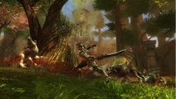 Kingdoms of Amalur: Reckoning Screenshots