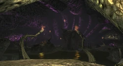 Скриншот к игре EverQuest 2: Destiny of Velious
