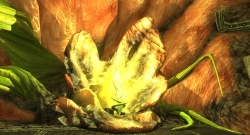 Скриншот к игре EverQuest 2: Destiny of Velious