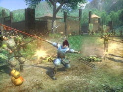 Скриншот к игре Dynasty Warriors: Online