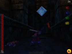 Rune: Halls of Valhalla Screenshots