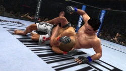 Скриншот к игре UFC Undisputed 2010