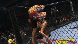 Скриншот к игре UFC Undisputed 2010