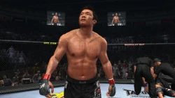 Скриншот к игре UFC Undisputed 2010