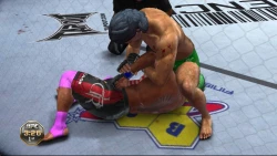 Скриншот к игре UFC Undisputed 2010