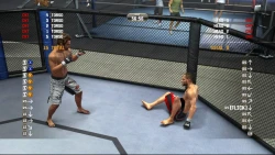 Скриншот к игре UFC Undisputed 2010