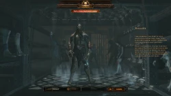 Скриншот к игре Path of Exile
