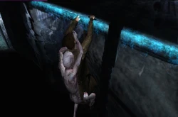 Скриншот к игре Silent Hill: Shattered Memories