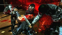 Скриншот к игре Ninja Gaiden 3