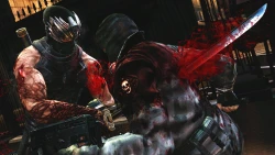 Скриншот к игре Ninja Gaiden 3