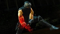 Скриншот к игре Ninja Gaiden 3