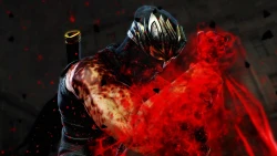 Скриншот к игре Ninja Gaiden 3