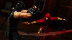 Скриншот к игре Ninja Gaiden 3