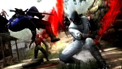Скриншот к игре Ninja Gaiden 3