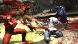 Скриншот к игре Ninja Gaiden 3