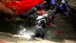 Скриншот к игре Ninja Gaiden 3