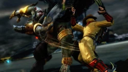 Скриншот к игре Ninja Gaiden 3