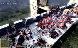 Real Warfare 2: Northern Crusades Screenshots