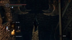 Dark Souls Screenshots