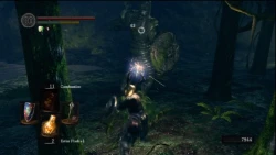 Dark Souls Screenshots