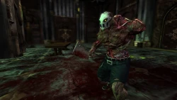 Скриншот к игре Splatterhouse (2010)