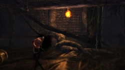 Скриншот к игре Splatterhouse (2010)