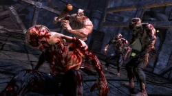 Скриншот к игре Splatterhouse (2010)