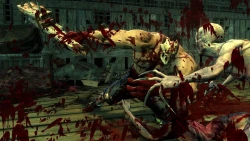 Скриншот к игре Splatterhouse (2010)