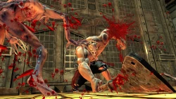 Скриншот к игре Splatterhouse (2010)