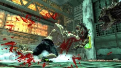 Скриншот к игре Splatterhouse (2010)