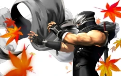 Скриншот к игре Dead or Alive: Dimensions