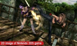Скриншот к игре Dead or Alive: Dimensions