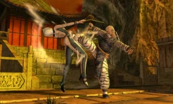 Скриншот к игре Dead or Alive: Dimensions
