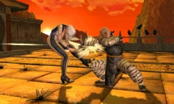 Скриншот к игре Dead or Alive: Dimensions