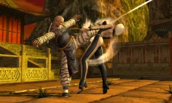 Скриншот к игре Dead or Alive: Dimensions