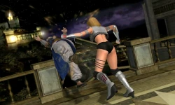 Скриншот к игре Dead or Alive: Dimensions