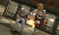 Скриншот к игре Dead or Alive: Dimensions