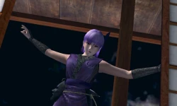 Скриншот к игре Dead or Alive: Dimensions